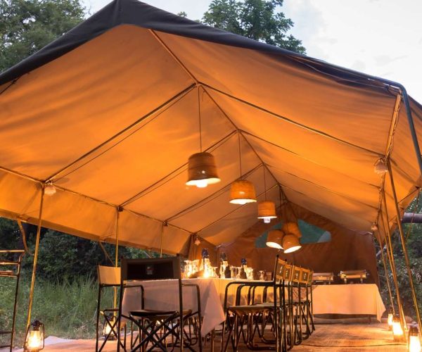 Bush Nature Safaris (2)