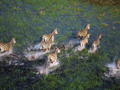 Helicopter-Flight-Over-Okavango-Delta